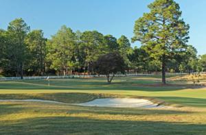 Tarheel Junior Golf Tour